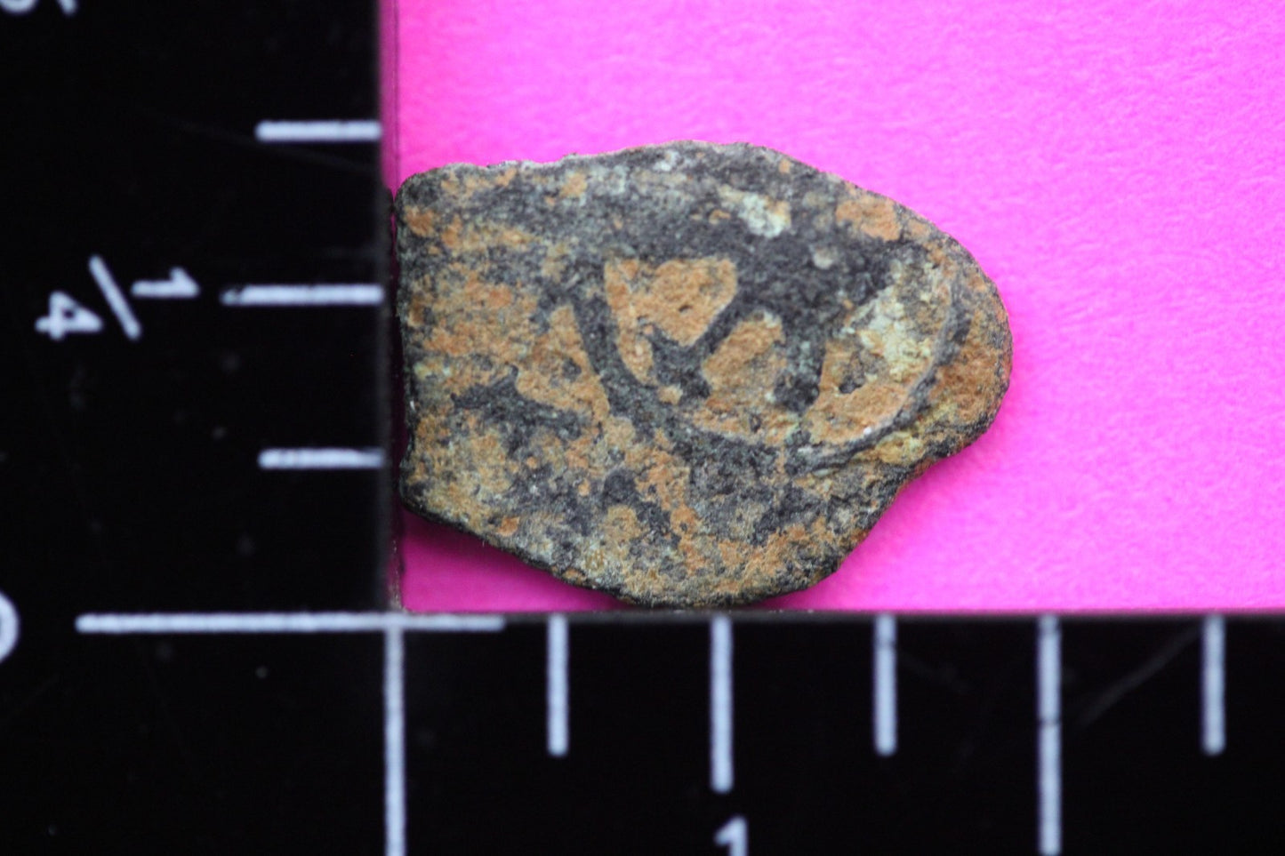 Widows Mite Coin Holy Land Artifact Free Display Frame Jesus Christ Lifetime 193