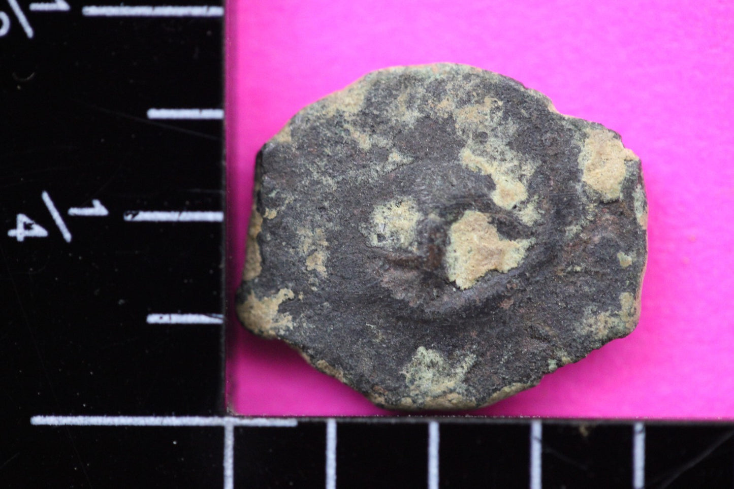 Widows Mite Coin Holy Land Artifact Free Display Frame Jesus Christ Lifetime 70