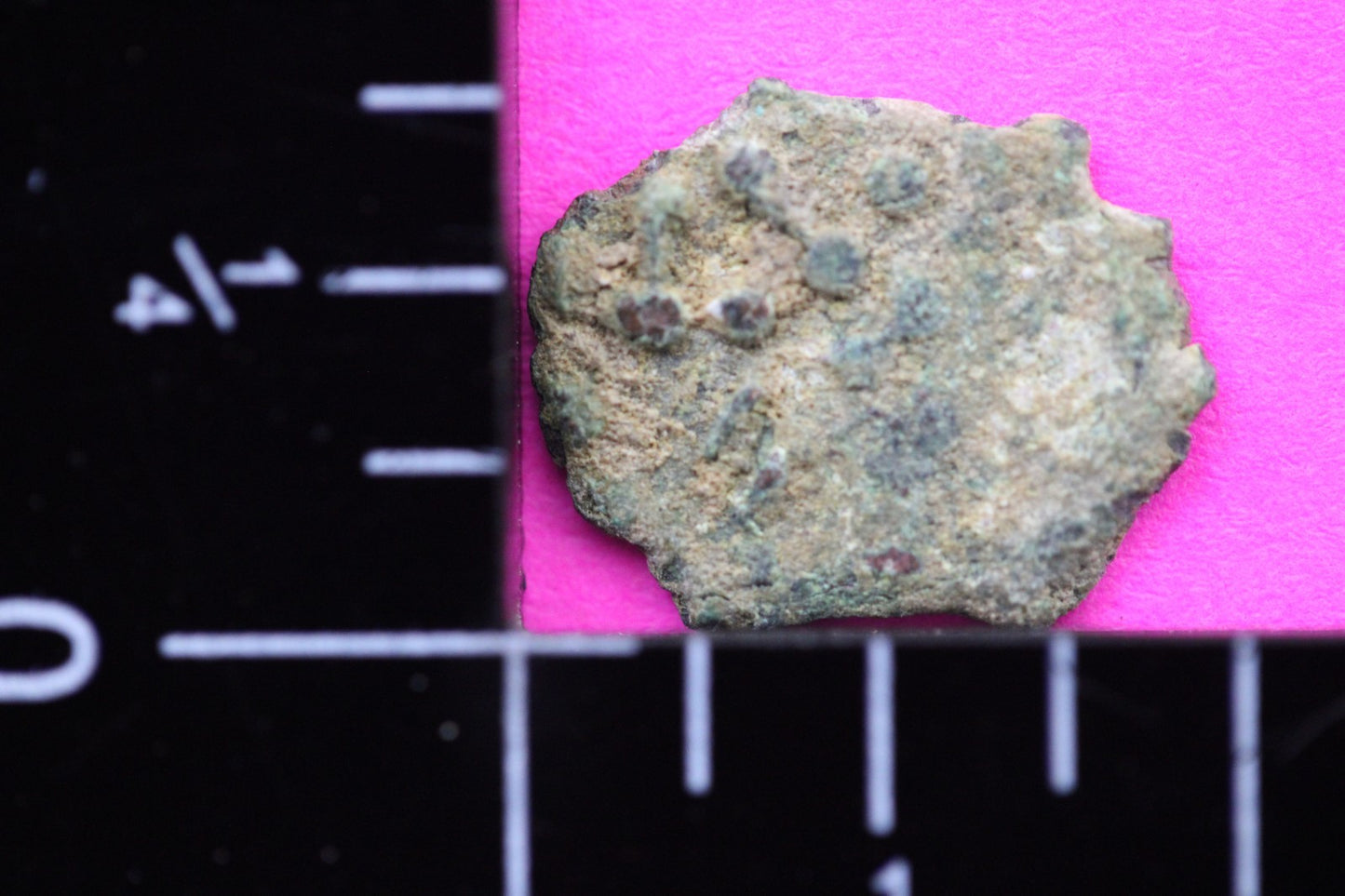 Widows Mite Coin Holy Land Artifact Free Display Frame Jesus Christ Lifetime 45