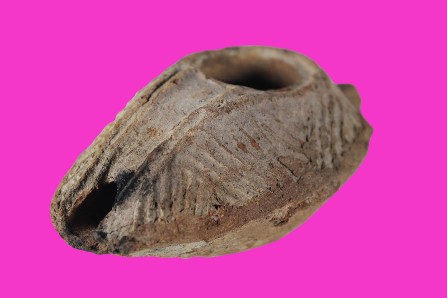 Oil Lamp Holy Land Ancient Artifact Jesus Christ Home Israel 300-600 AD COA 127