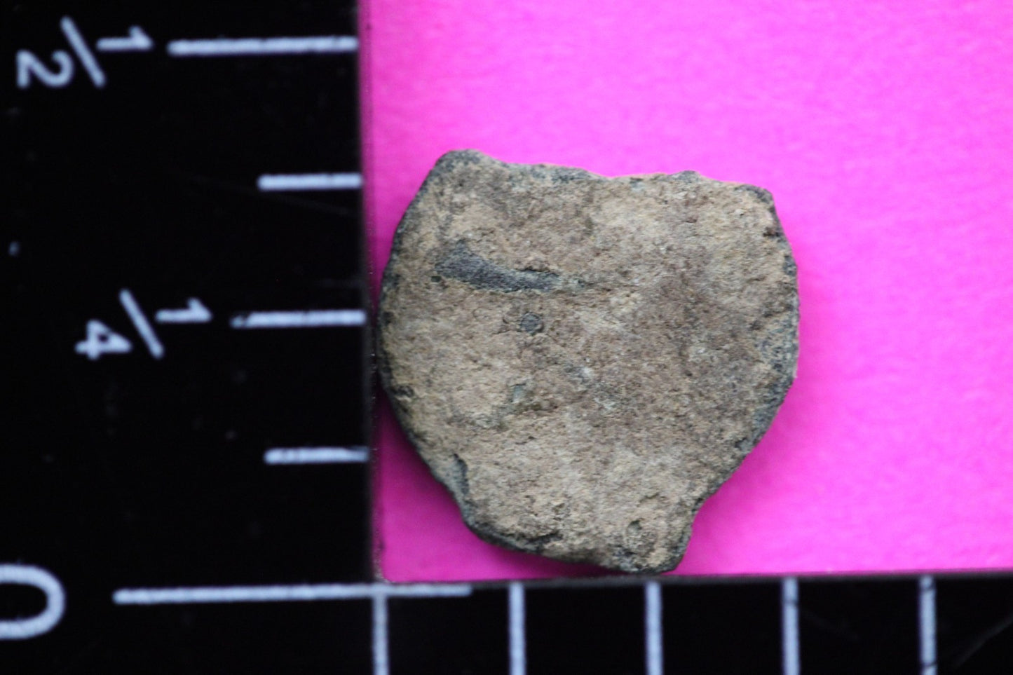 Widows Mite Coin Holy Land Artifact Free Display Frame Jesus Christ Lifetime 178