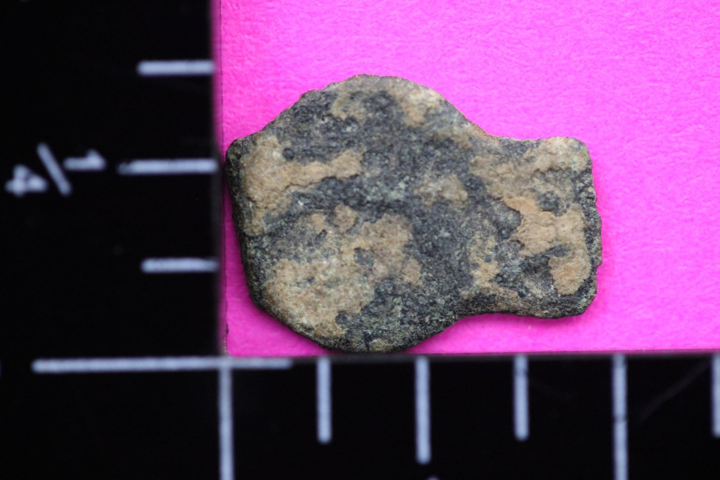 Widows Mite Coin Holy Land Artifact Free Display Frame Jesus Christ Lifetime 82