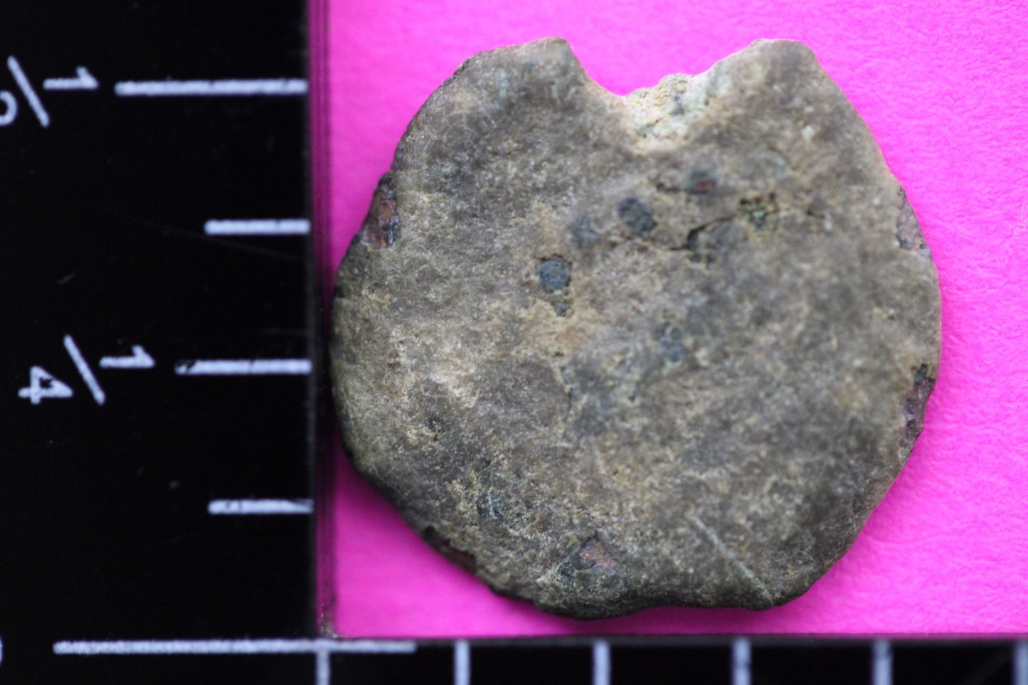 Widows Mite Coin Holy Land Artifact Free Display Frame Jesus Christ Lifetime 115