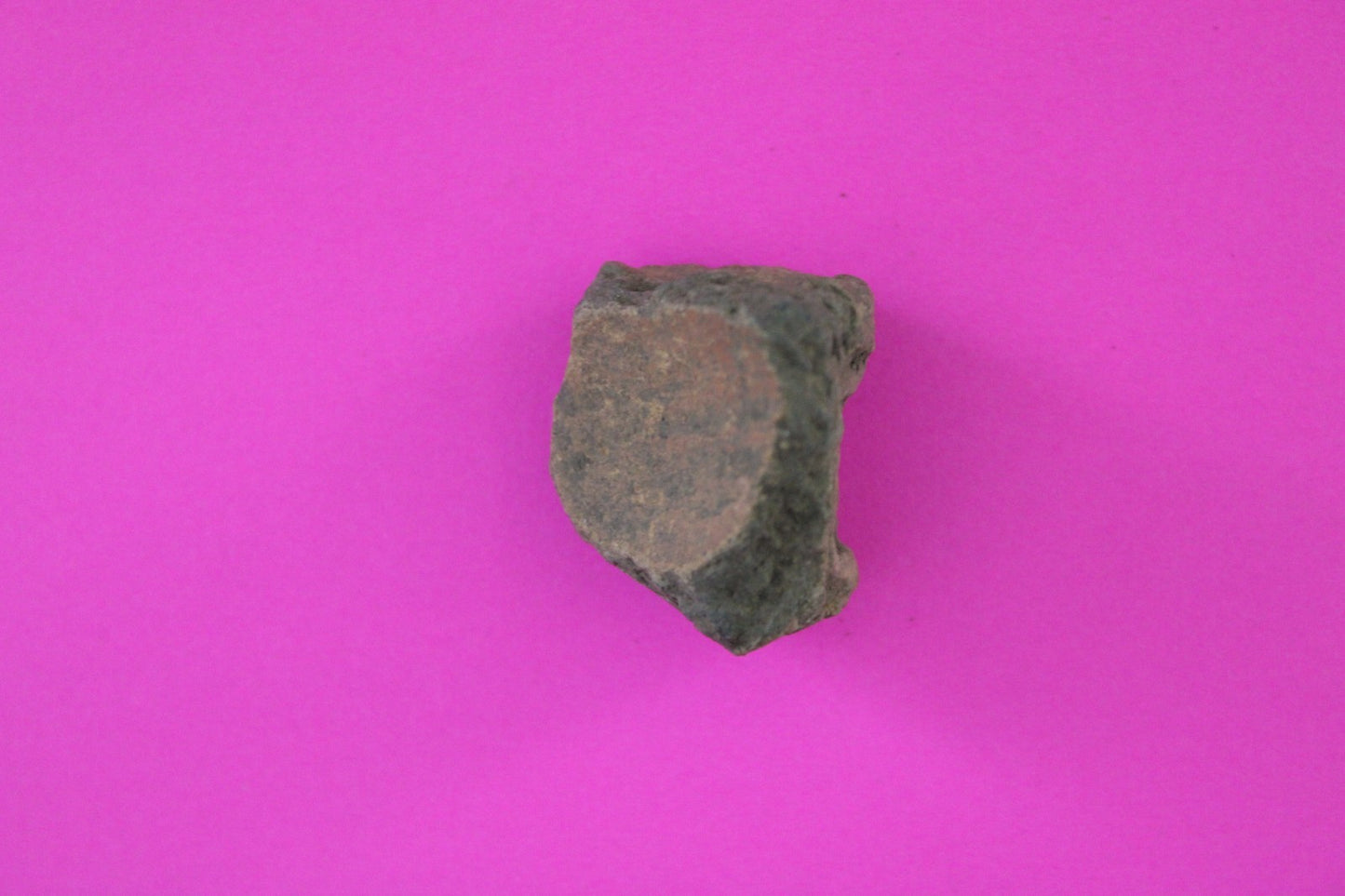 Puerto Rico Taino Pre Columbian Pottery Artifact FREE Display Case 1000AD COA 75