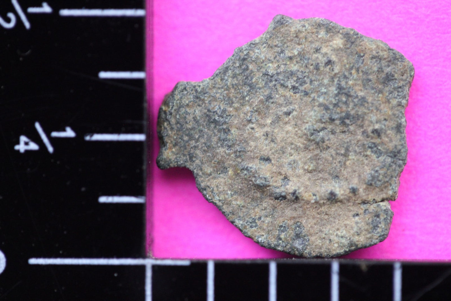 Widows Mite Coin Holy Land Artifact Free Display Frame Jesus Christ Lifetime 71