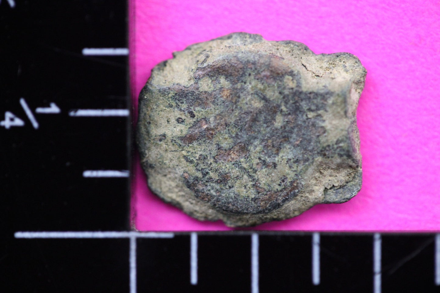 Widows Mite Coin Holy Land Artifact Free Display Frame Jesus Christ Lifetime 140