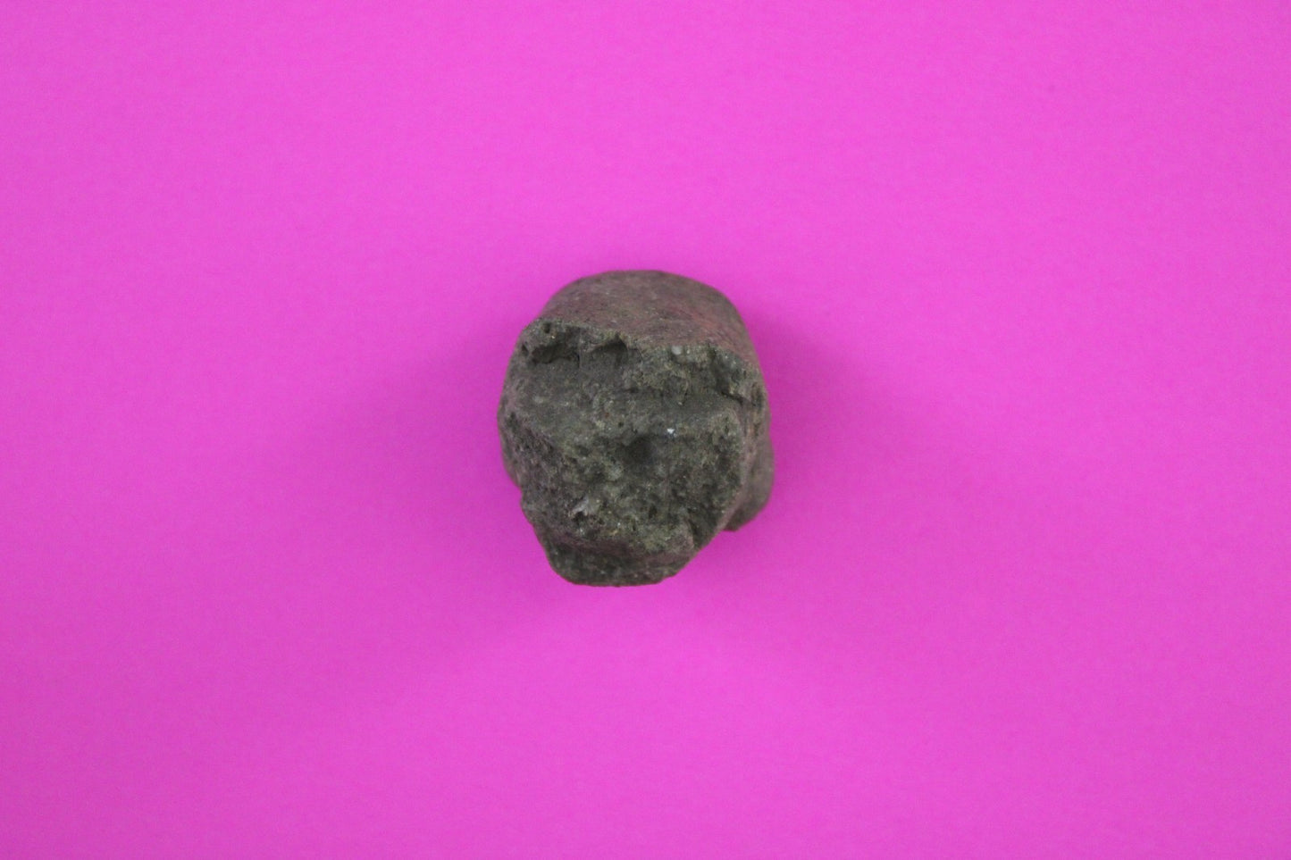 Puerto Rico Taino Pre Columbian Pottery Artifact FREE Display Case 1000AD COA 96