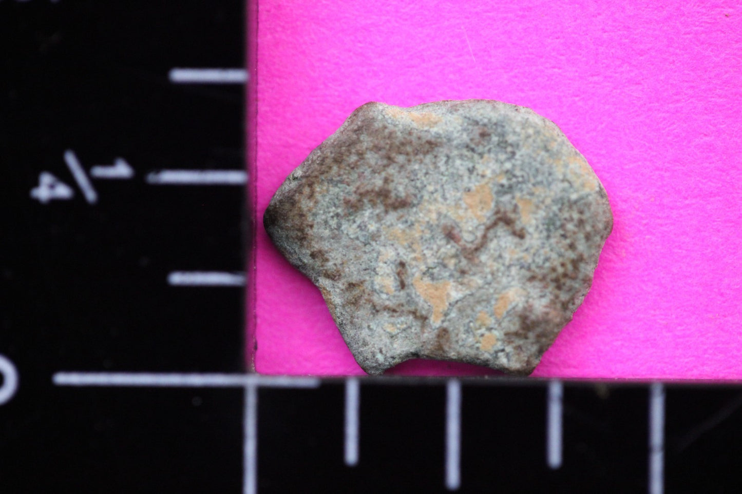 Widows Mite Coin Holy Land Artifact Free Display Frame Jesus Christ Lifetime 69