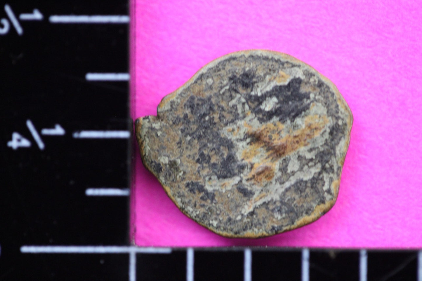 Widows Mite Coin Holy Land Artifact Free Display Frame Jesus Christ Lifetime 58