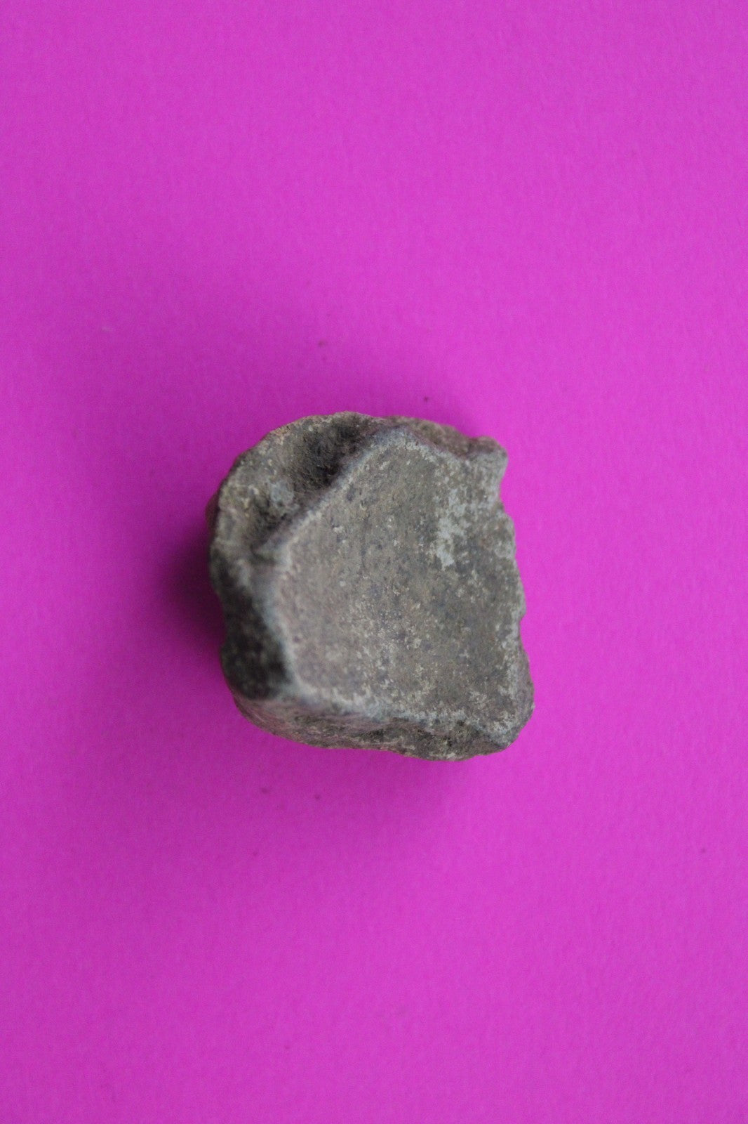 Puerto Rico Taino Pre Columbian Pottery Artifact FREE Display Case 1000AD COA 55