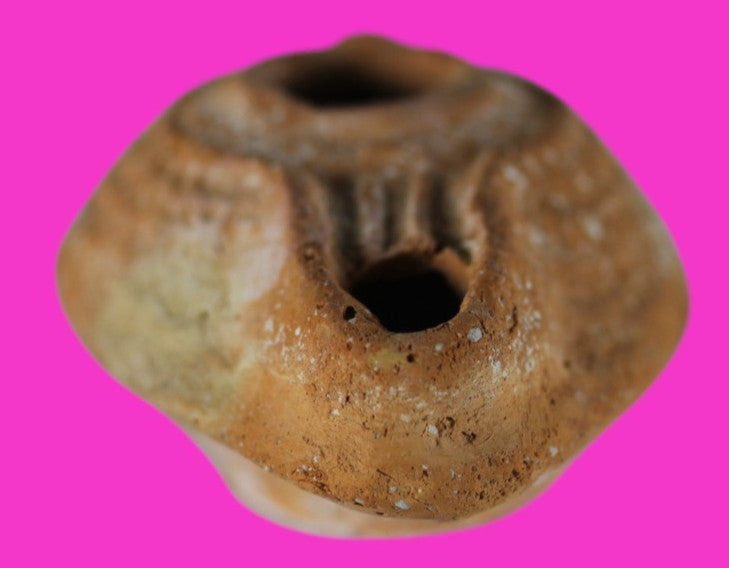 Ancient Holy Land Oil Lamp Artifact Jesus Christ Homeland 100 - 400 AD COA L02