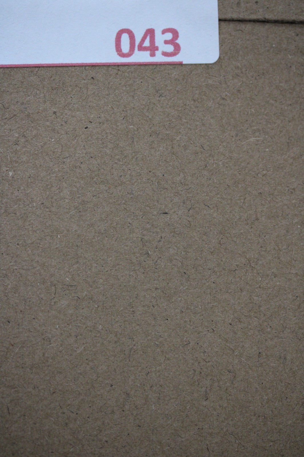 Puerto Rico Taino Pre Columbian Pottery Artifact FREE Display Case 1000AD COA 43