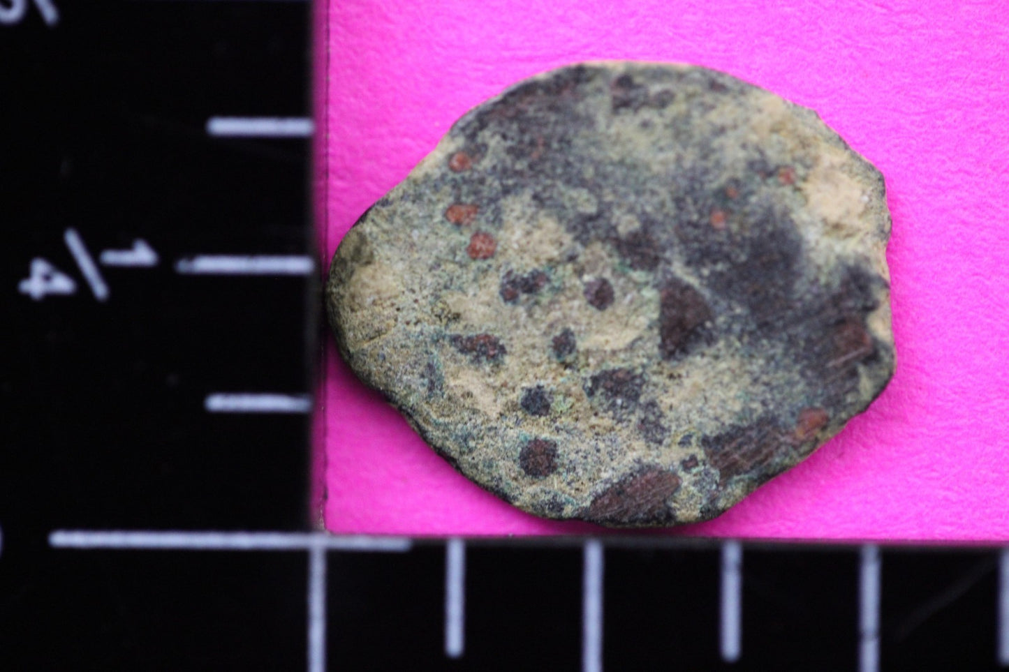 Widows Mite Coin Holy Land Artifact Free Display Frame Jesus Christ Lifetime 122