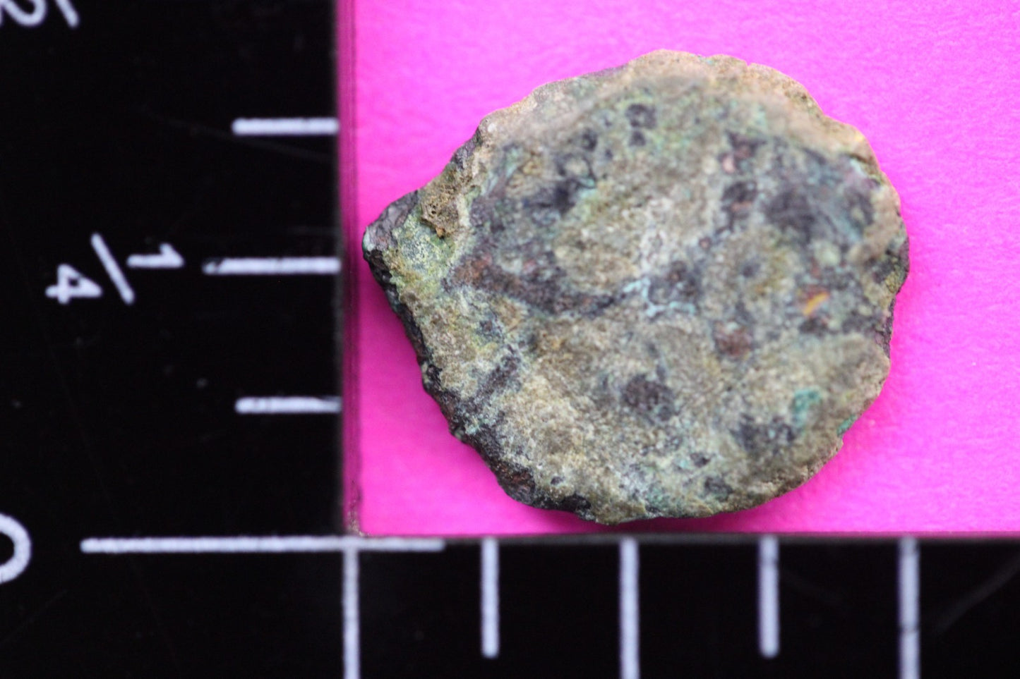 Widows Mite Coin Holy Land Artifact Free Display Frame Jesus Christ Lifetime 91