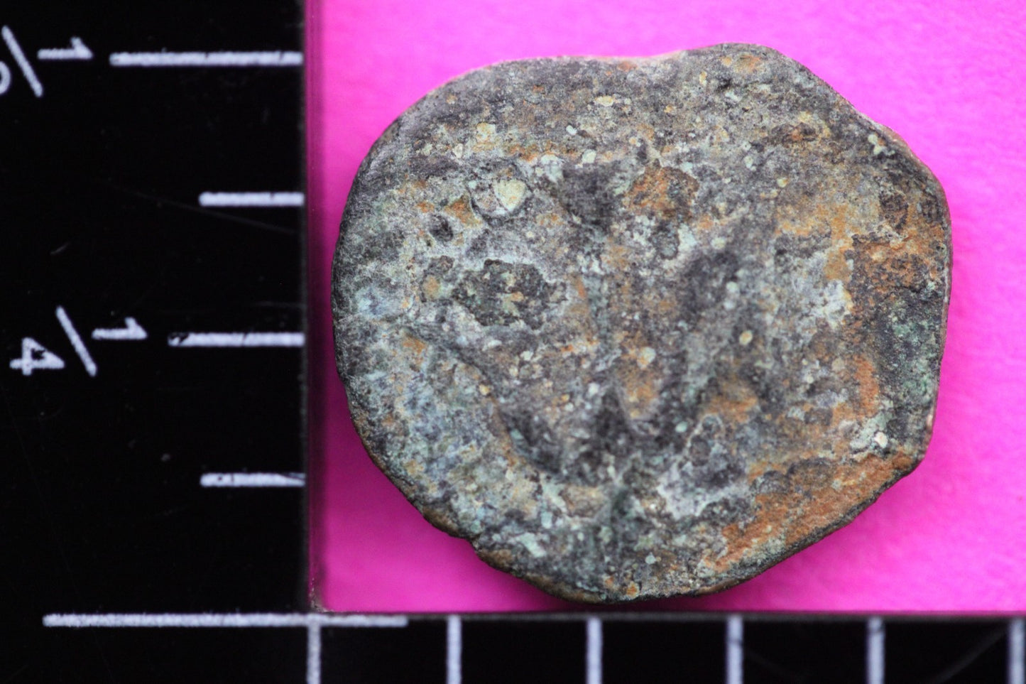 Widows Mite Coin Holy Land Artifact Free Display Frame Jesus Christ Lifetime 105