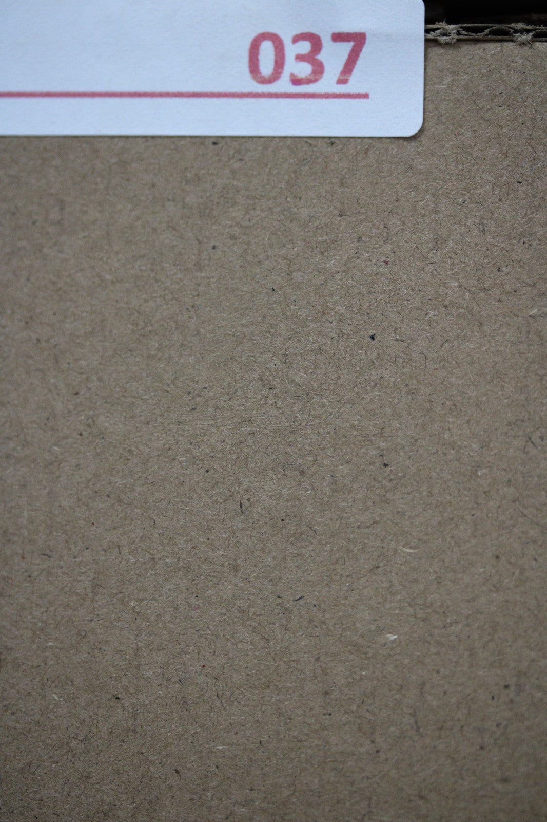 Puerto Rico Taino Pre Columbian Pottery Artifact FREE Display Case 1000AD COA 37