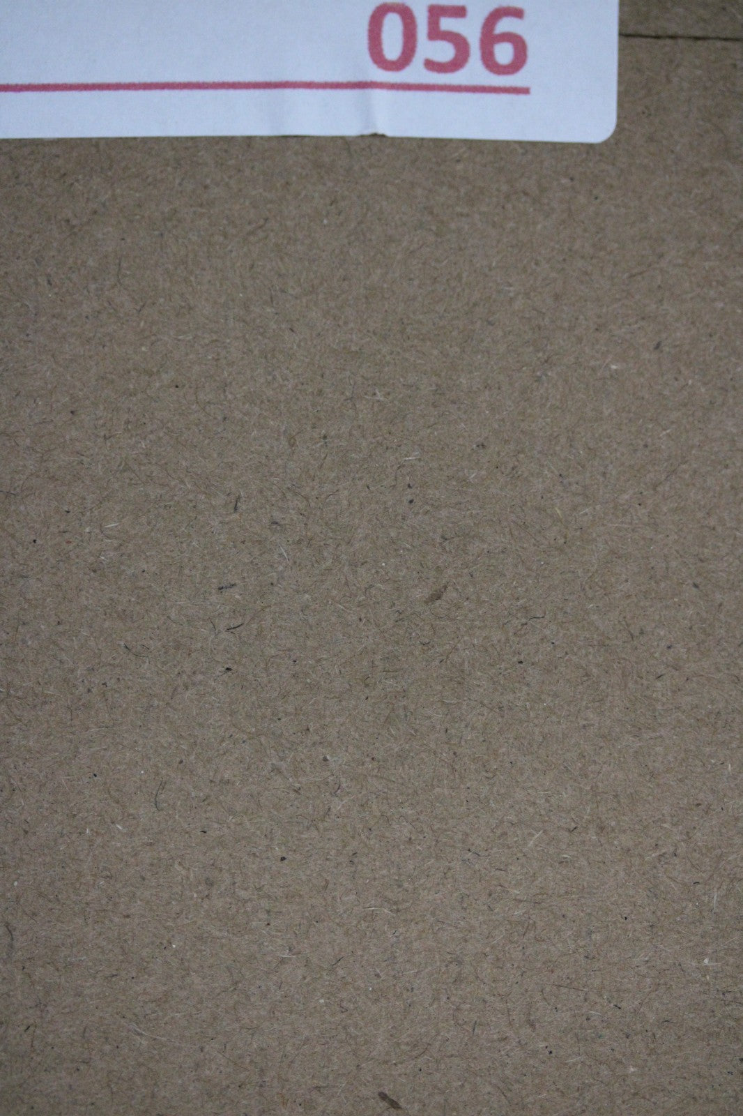 Puerto Rico Taino Pre Columbian Pottery Artifact FREE Display Case 1000AD COA 56