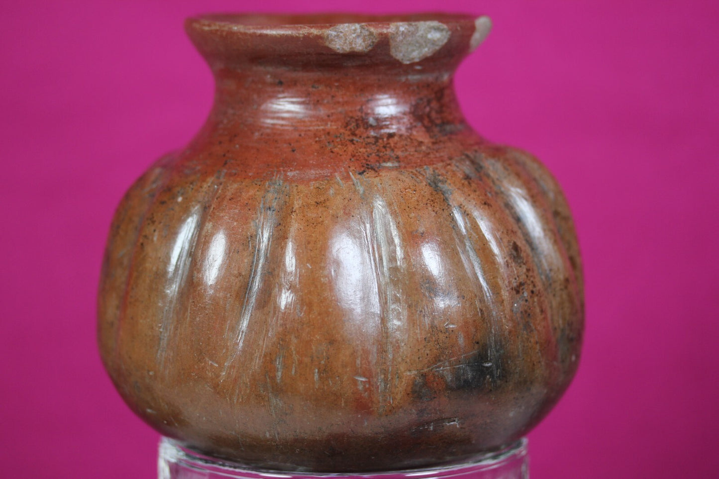 Pre Columbian Artifact Colima 300 BC-300 AD Gadrooned Jar Authentic COA J14