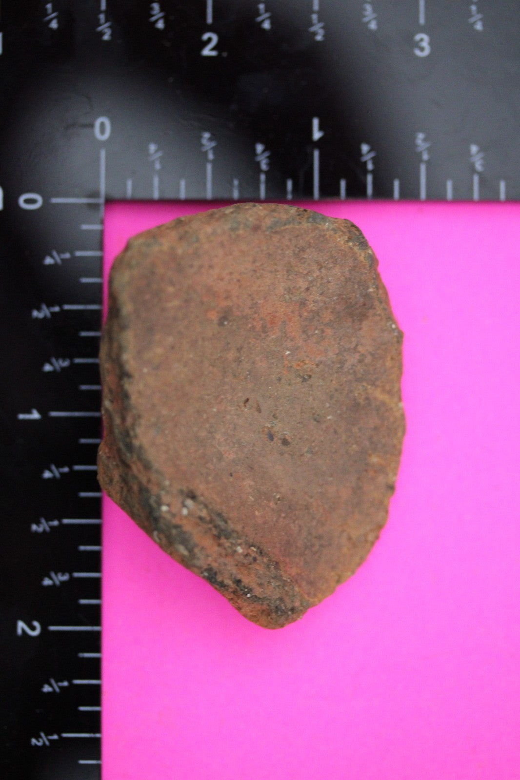 Puerto Rico Taino Pre Columbian Pottery Artifact FREE Display Case 1000AD COA 21