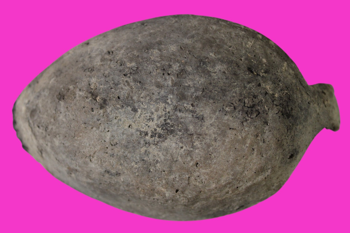 Oil Lamp Holy Land Ancient Artifact Jesus Christ Home Israel 300-600 AD COA 128