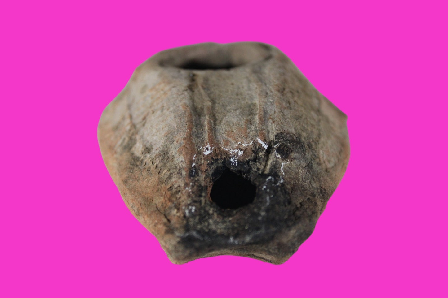 Oil Lamp Holy Land Ancient Artifact Jesus Christ Home Israel 300-600 AD COA 96