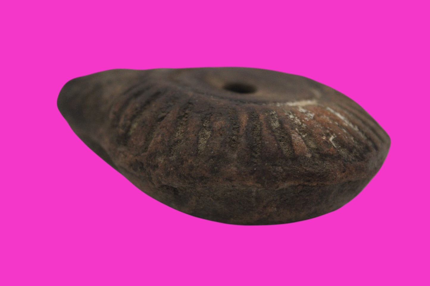 Ancient Holy Land Oil Lamp Artifact From Jesus Christ Home Land 100-500AD COA 60