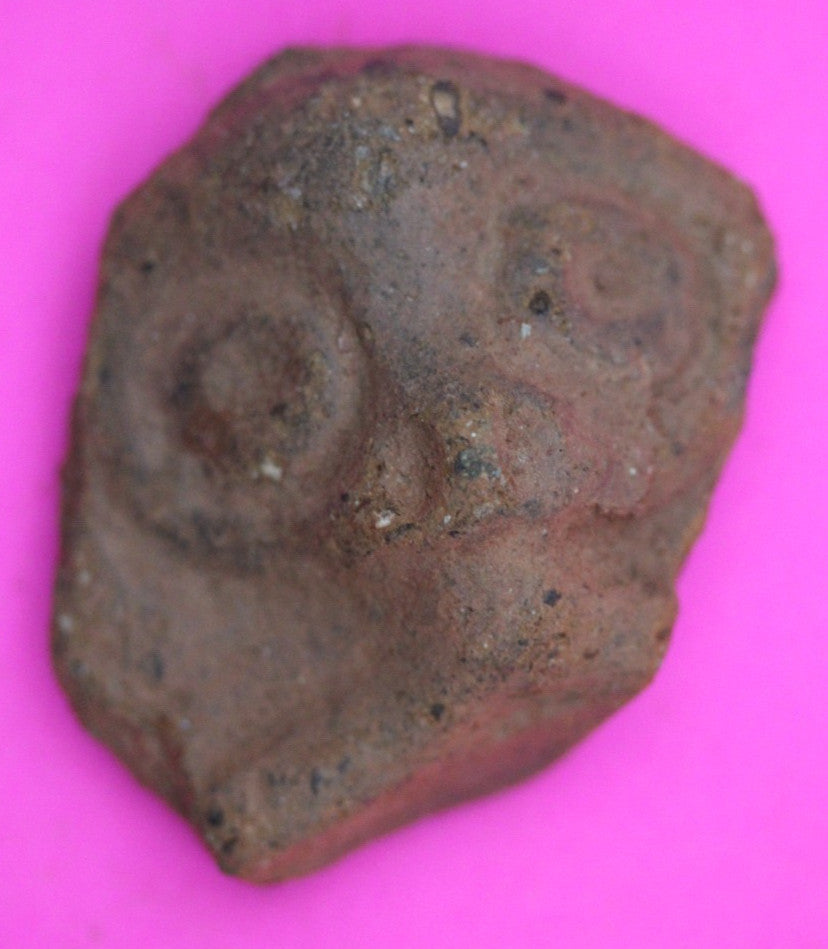 Puerto Rico Taino Pre Columbian Pottery Artifact FREE Display Case 1000AD COA 21