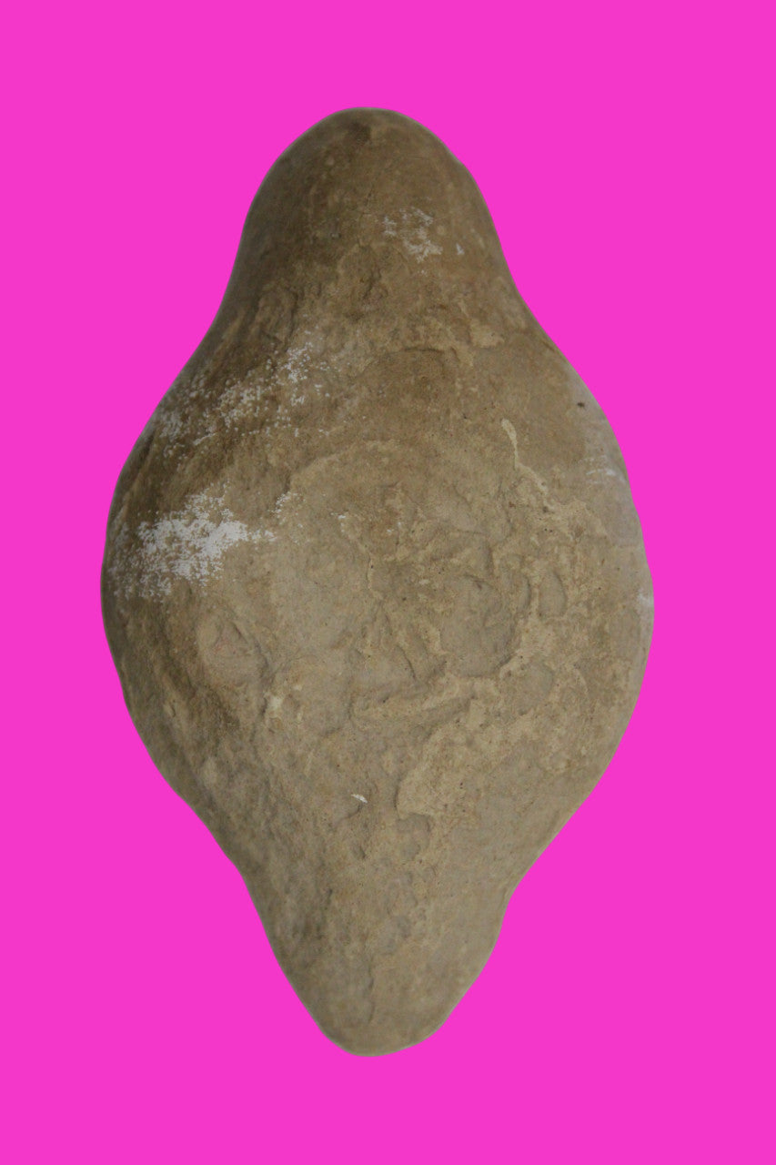 Ancient Holy Land Oil Lamp Artifact Jesus Christ Home Land 100BC-200AD COA 43