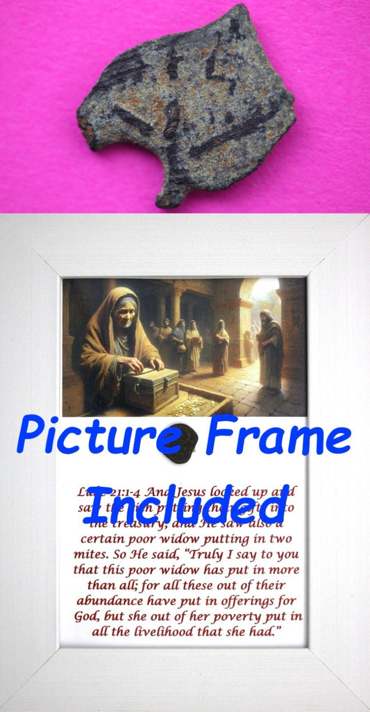 Widows Mite Coin Holy Land Artifact Free Display Frame Jesus Christ Lifetime 101