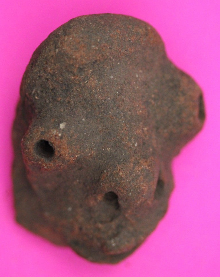 Puerto Rico Taino Pre Columbian Pottery Artifact FREE Display Case 1000AD COA 26