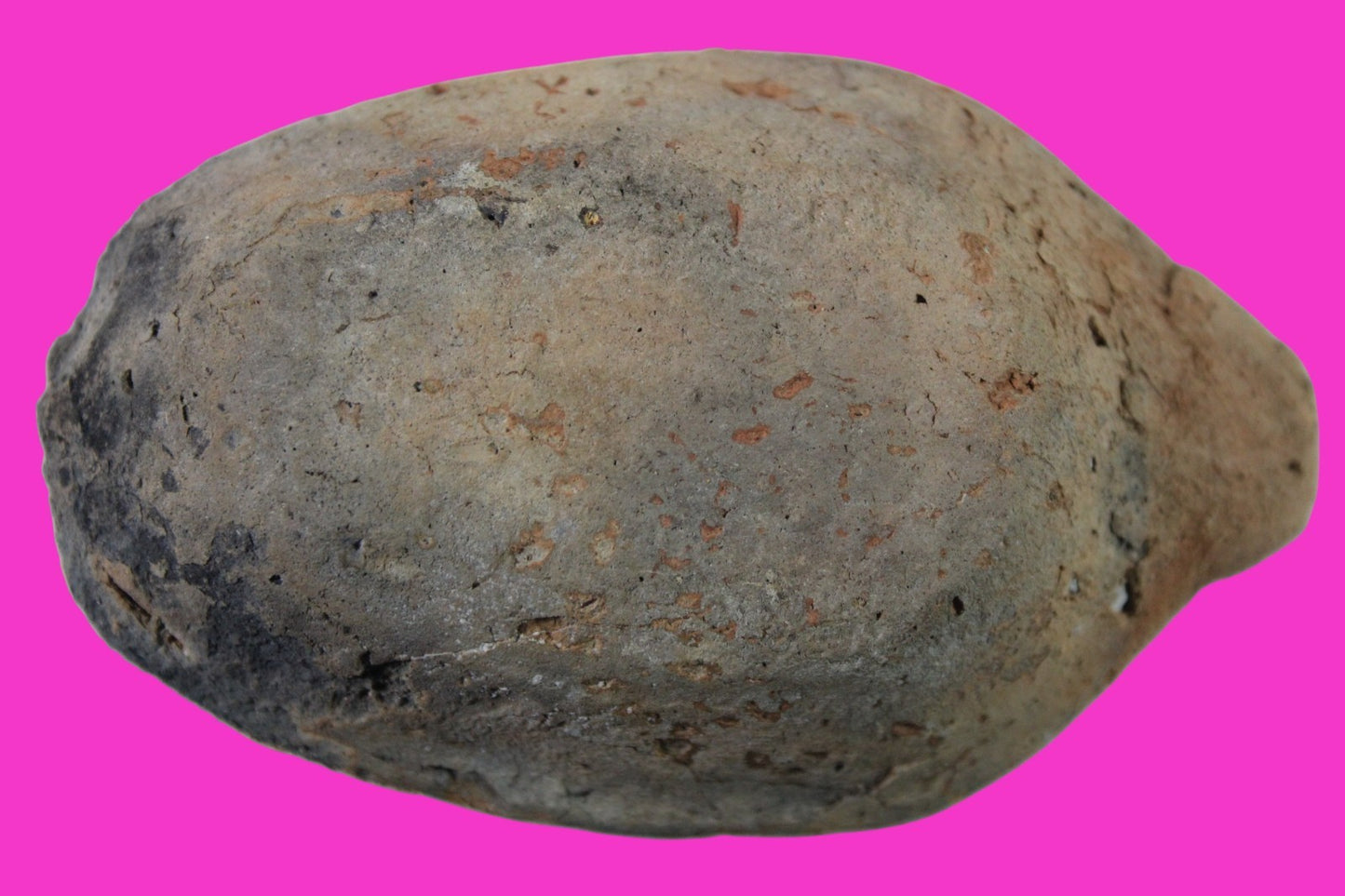 Oil Lamp Holy Land Ancient Artifact Jesus Christ Home Israel 300-600 AD COA 70