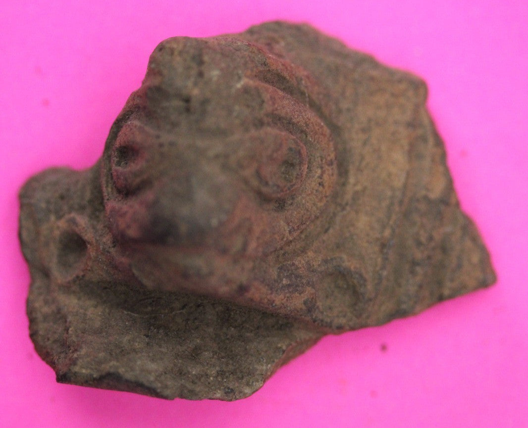 Puerto Rico Taino Pre Columbian Pottery Artifact FREE Display Case 1000AD COA 46