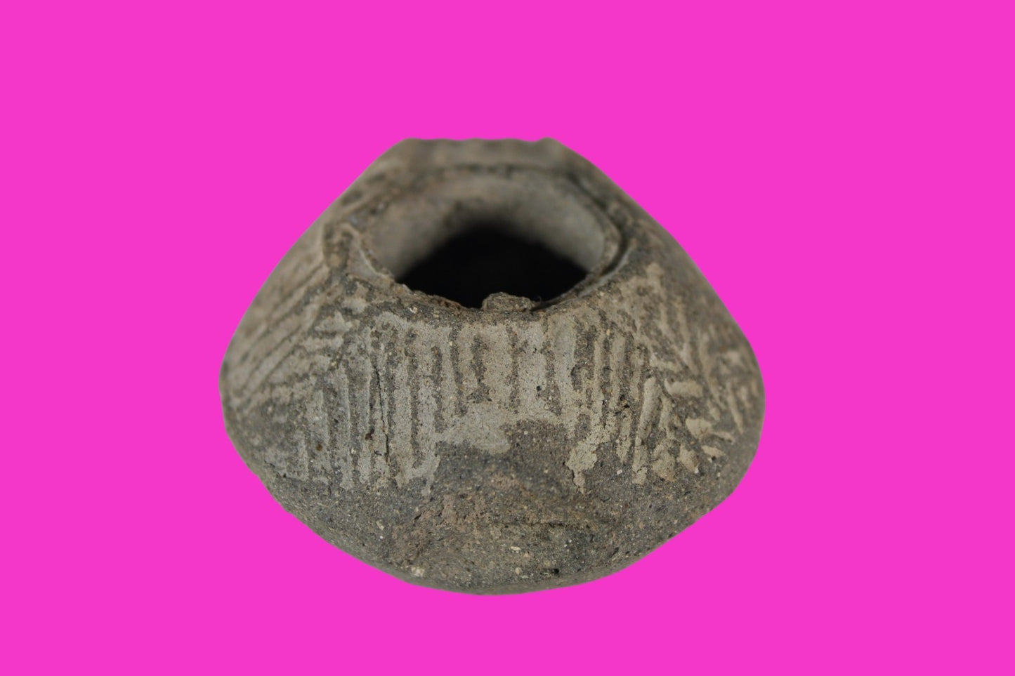 Oil Lamp Holy Land Ancient Artifact Jesus Christ Home Israel 300-600 AD COA 106