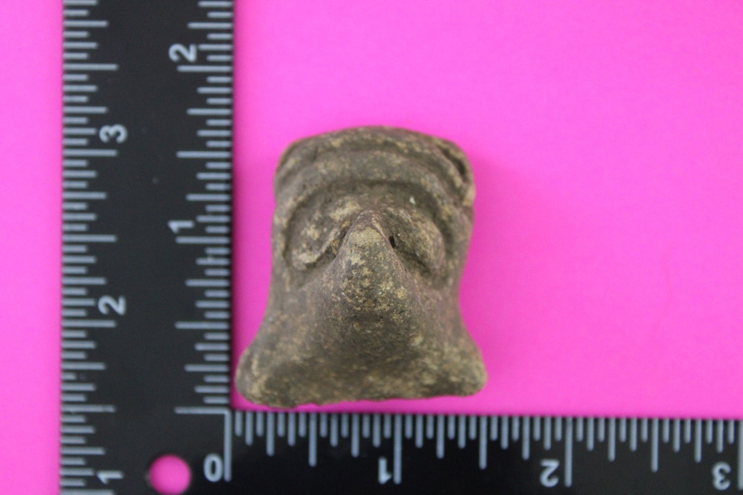 Puerto Rico Taino Pre Columbian Pottery Artifact FREE Display Case 1000AD COA 81