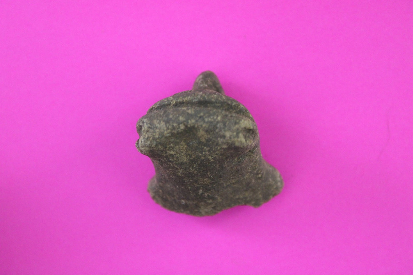 Puerto Rico Taino Pre Columbian Pottery Artifact FREE Display Case 1000AD COA 81