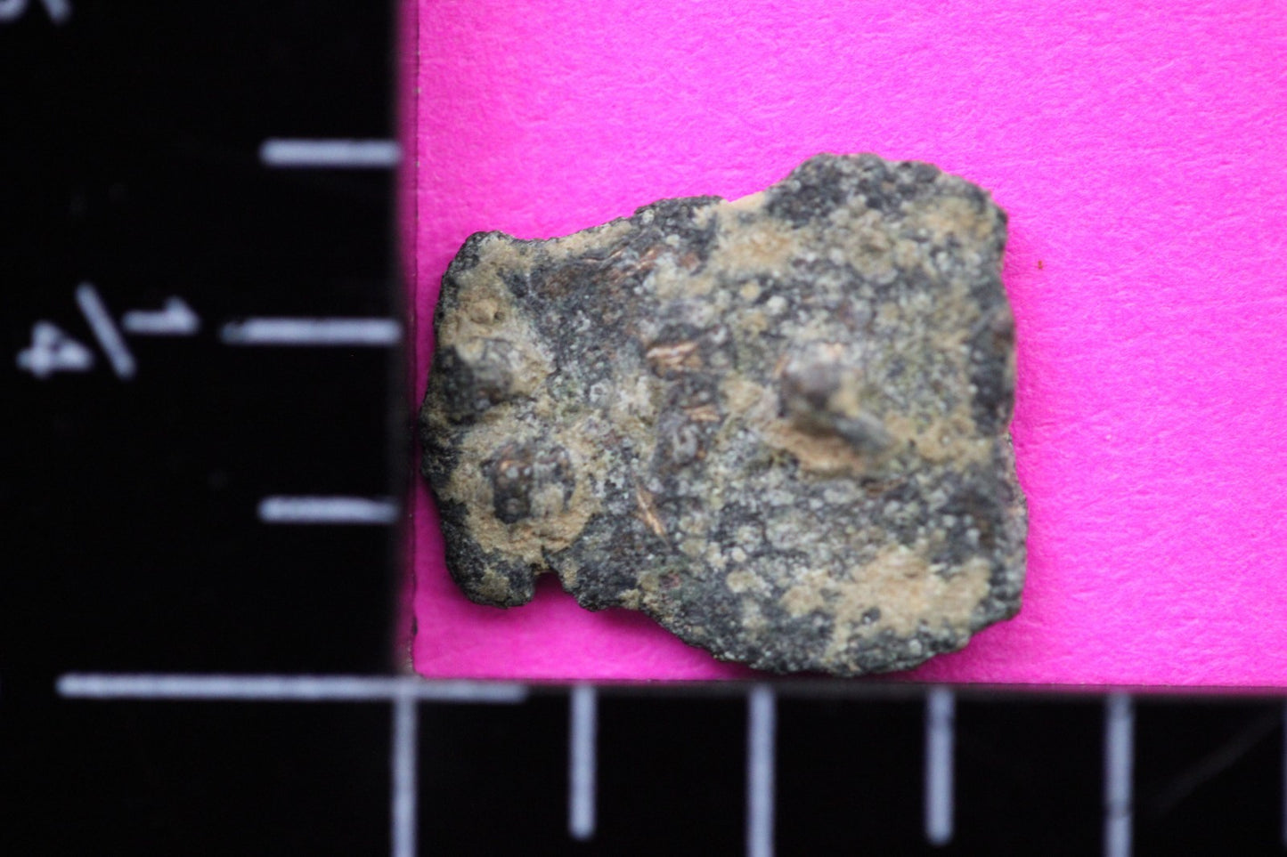 Widows Mite Coin Holy Land Artifact Free Display Frame Jesus Christ Lifetime 155