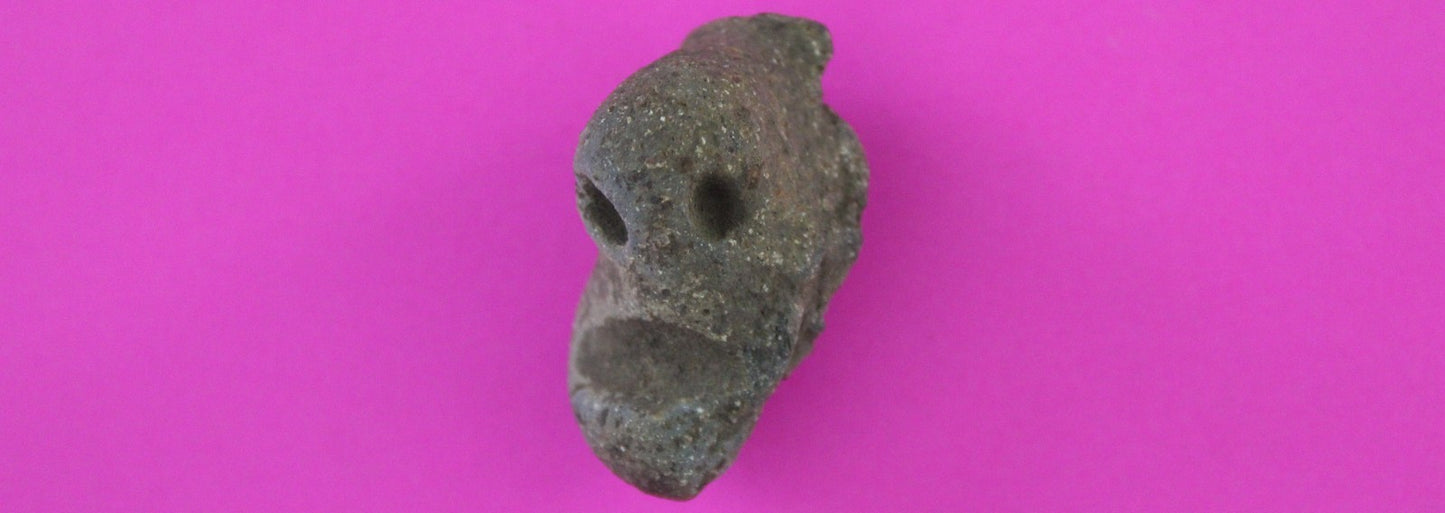 Puerto Rico Taino Pre Columbian Pottery Artifact FREE Display Case 1000AD COA 69