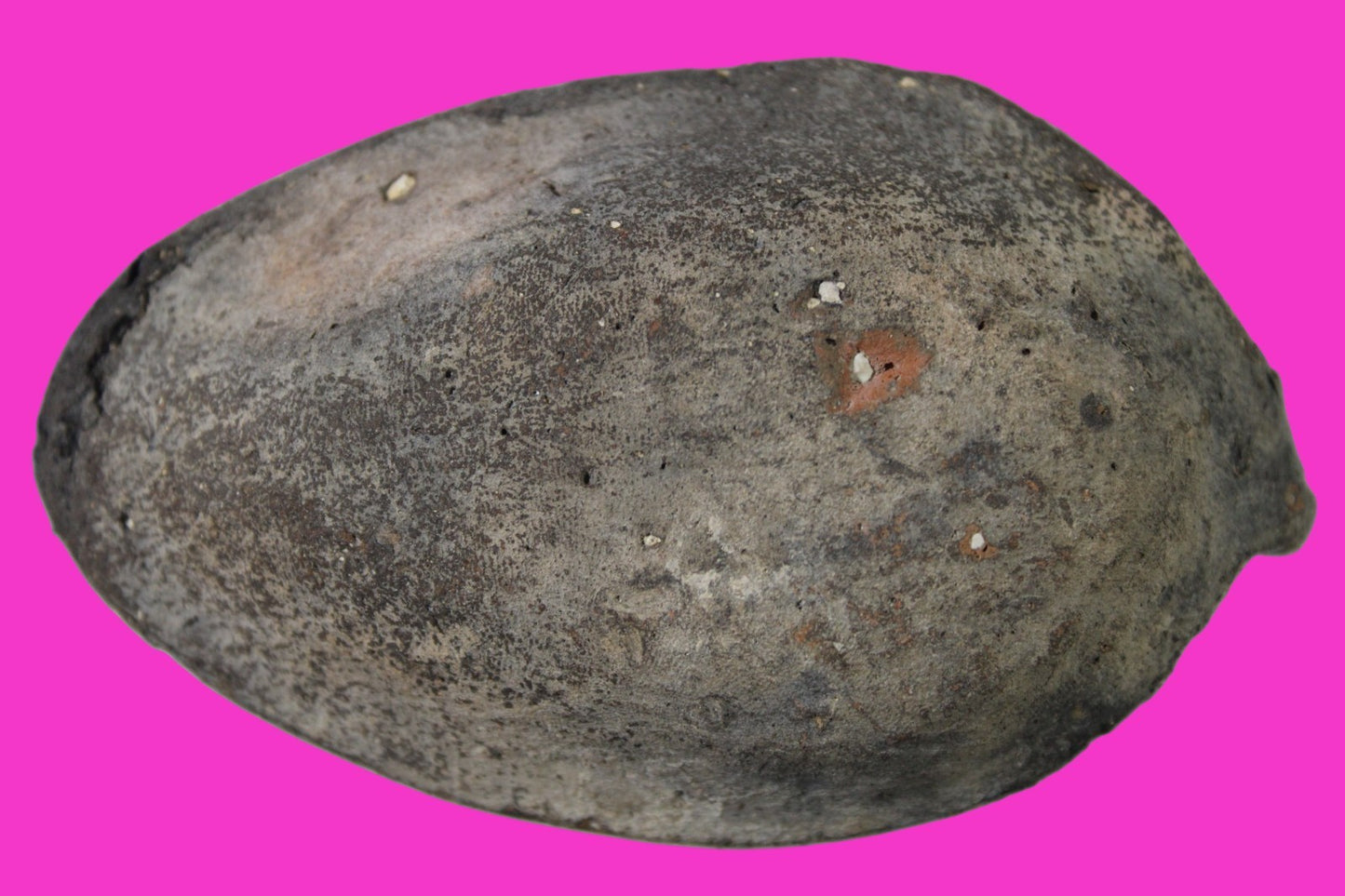 Oil Lamp Holy Land Ancient Artifact Jesus Christ Home Israel 300-600 AD COA 119