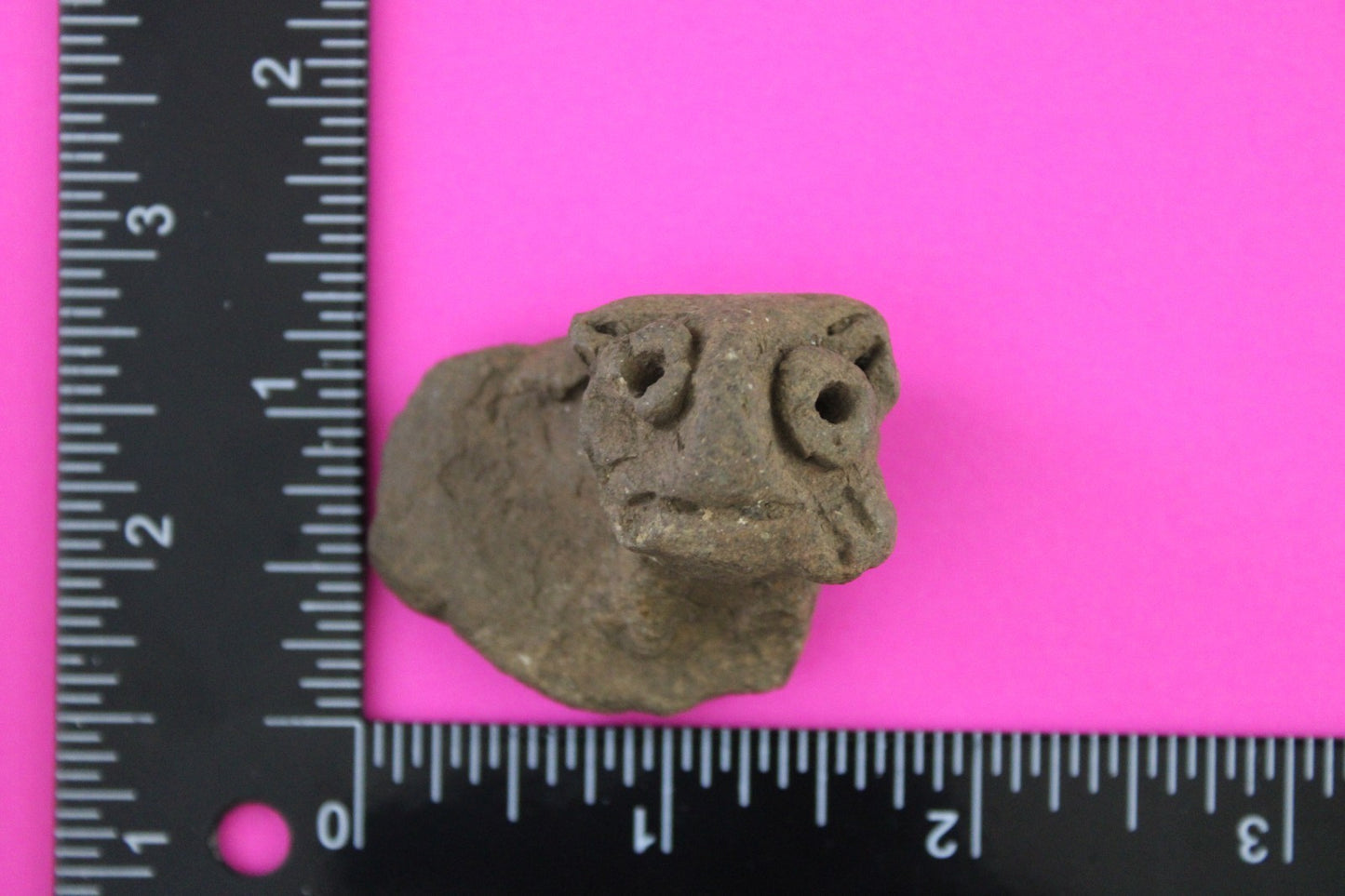 Puerto Rico Taino Pre Columbian Pottery Artifact FREE Display Case 1000AD COA 76