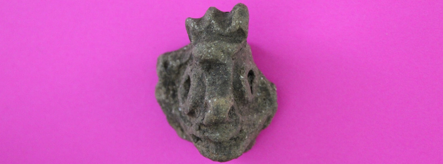 Puerto Rico Taino Pre Columbian Pottery Artifact FREE Display Case 1000AD COA 98