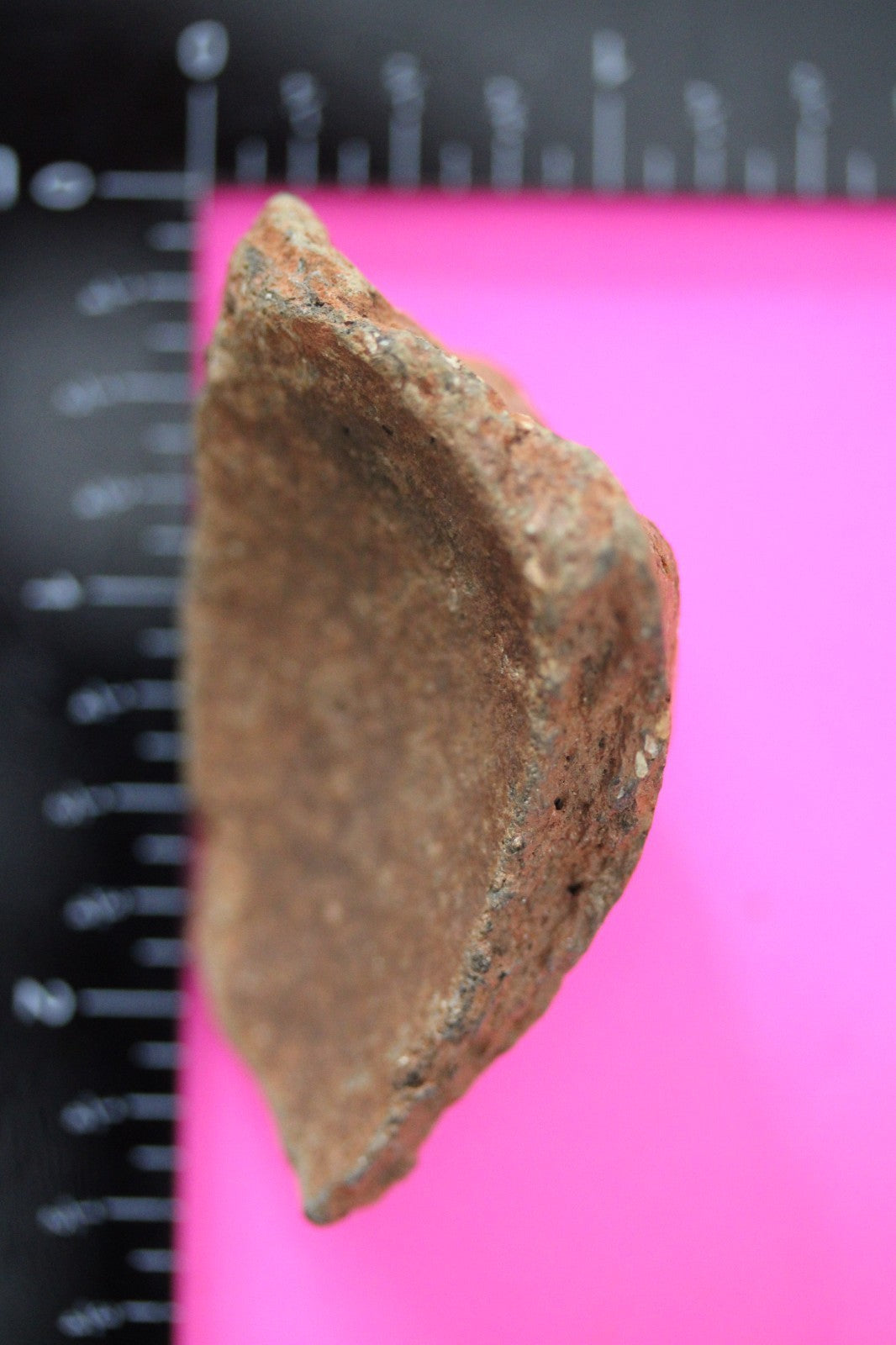 Puerto Rico Taino Pre Columbian Pottery Artifact FREE Display Case 1000AD COA 47