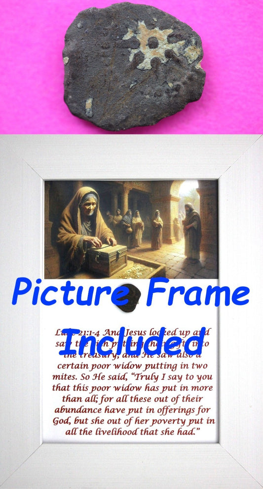 Widows Mite Coin Holy Land Artifact Free Display Frame Jesus Christ Lifetime 50
