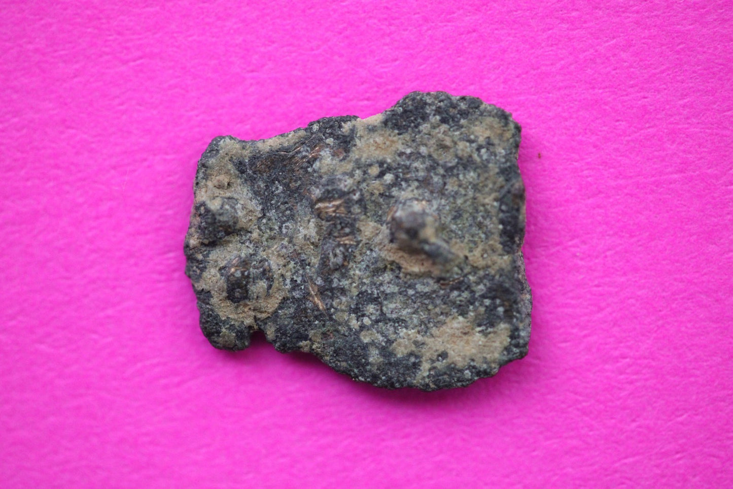 Widows Mite Coin Holy Land Artifact Free Display Frame Jesus Christ Lifetime 155