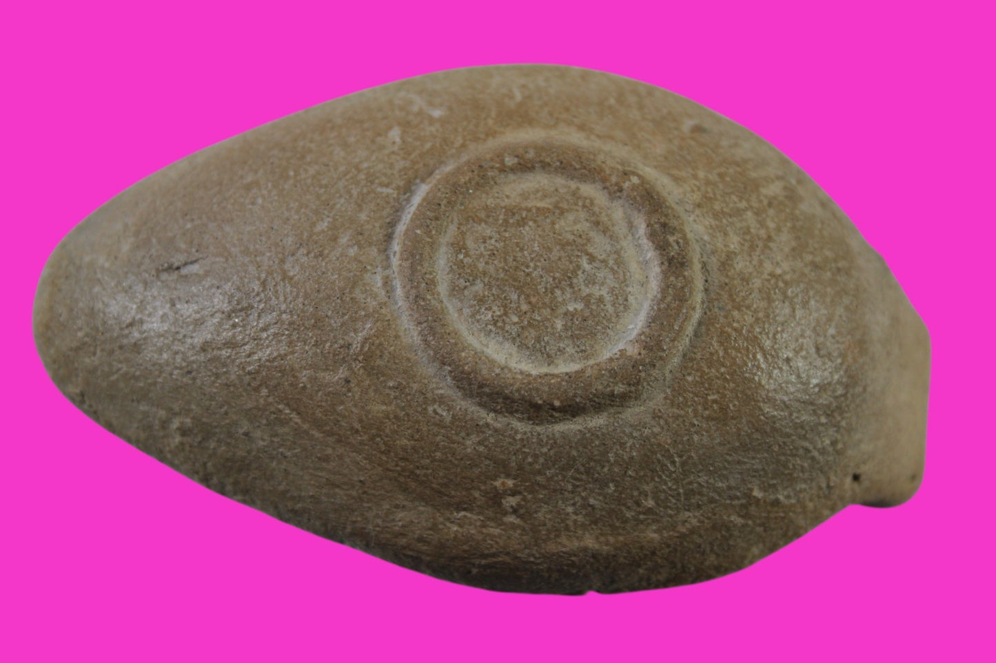 Ancient Holy Land Oil Lamp Artifact Jesus Christ Homeland 100 - 400 AD COA L08