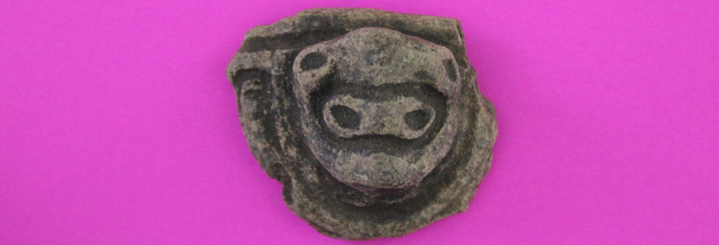 Puerto Rico Taino Pre Columbian Pottery Artifact FREE Display Case 1000AD COA 95