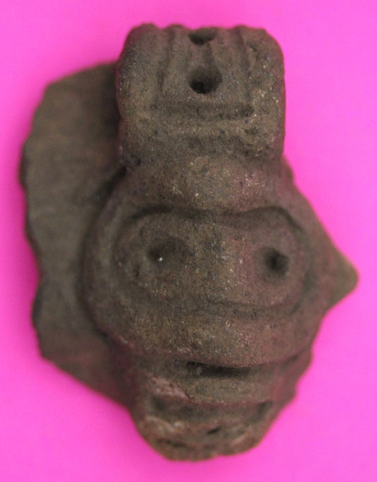 Puerto Rico Taino Pre Columbian Pottery Artifact FREE Display Case 1000AD COA 22