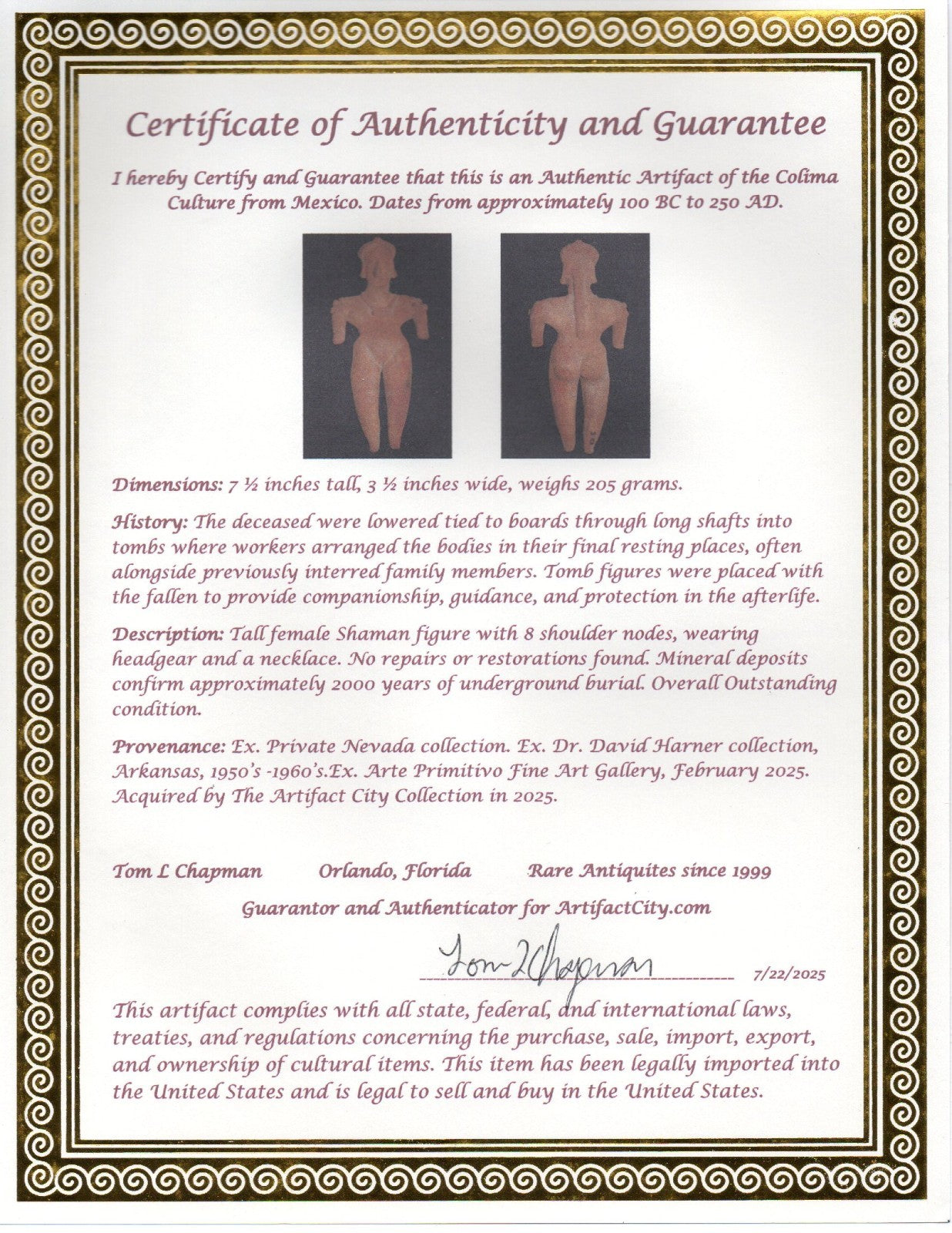 Pre Columbian Artifact 7in Female Shaman Tomb Figure Colima Mexico 100BC COA 251