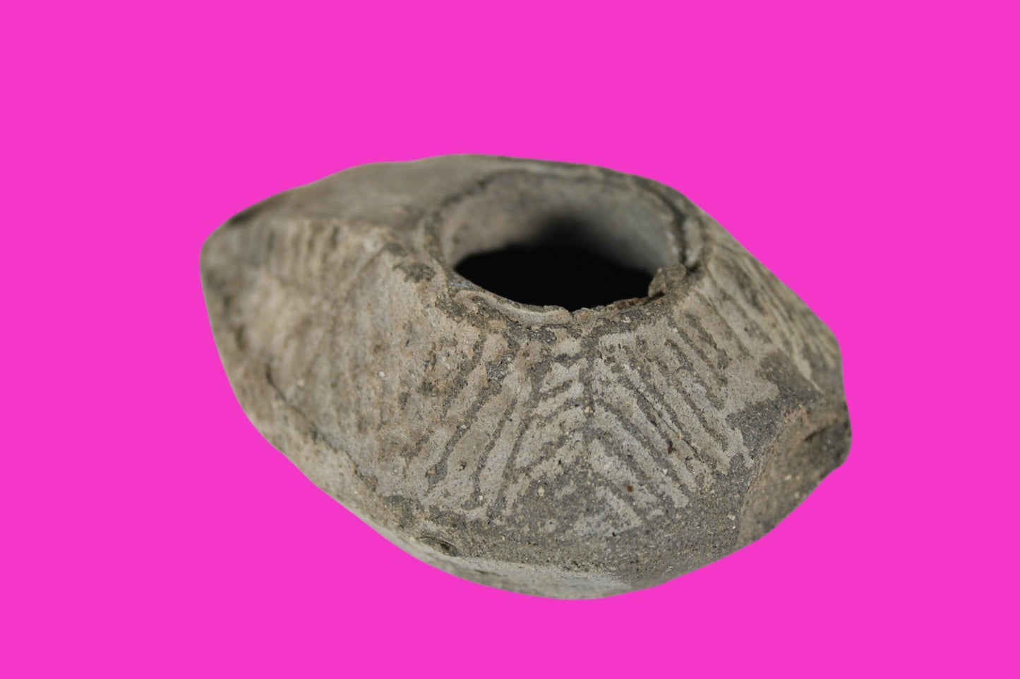 Oil Lamp Holy Land Ancient Artifact Jesus Christ Home Israel 300-600 AD COA 106