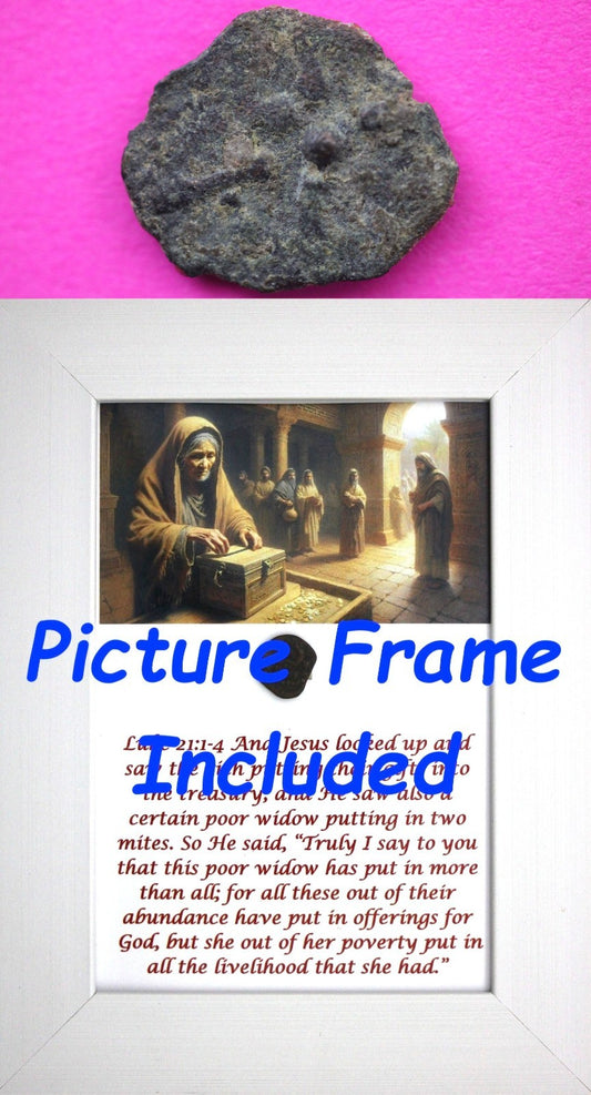 Widows Mite Coin Holy Land Artifact Free Display Frame Jesus Christ Lifetime 127