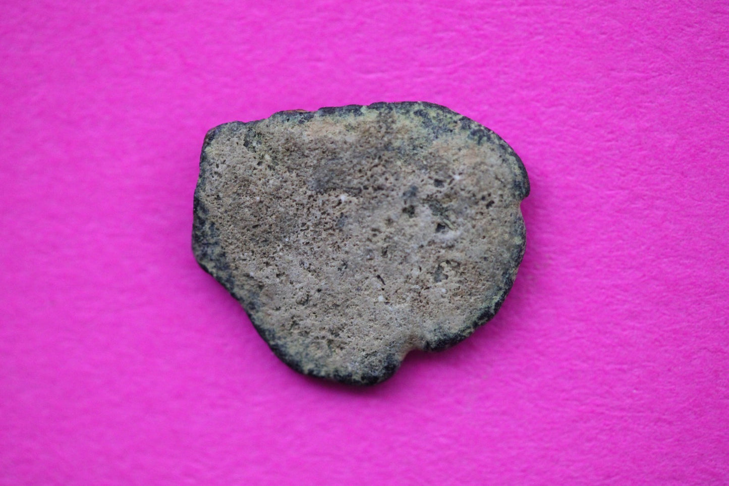 Widows Mite Coin Holy Land Artifact Free Display Frame Jesus Christ Lifetime 219